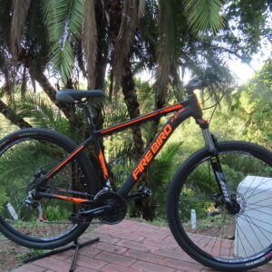 FIREBIRD R29 / 21 VEL // EQUIPO LTWOO