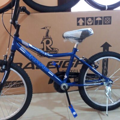 Bicicleta Bmx Rodado 20