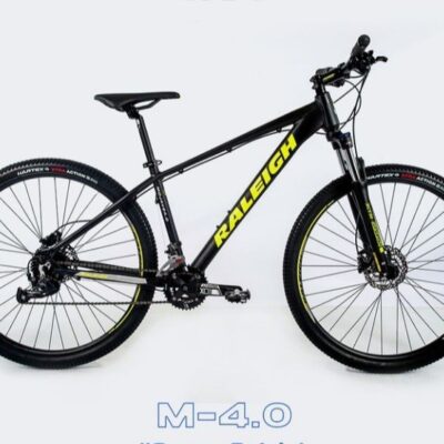 Raleigh 4.0 Mojave R29 / Talle 17″ – 24V Shimano