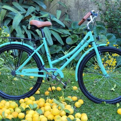 Fire Bird Vintage Rodado 26