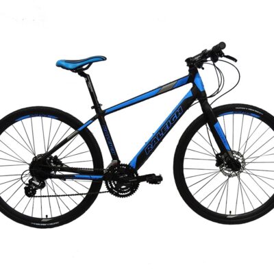 Raleigh Urban 1.1 - 700