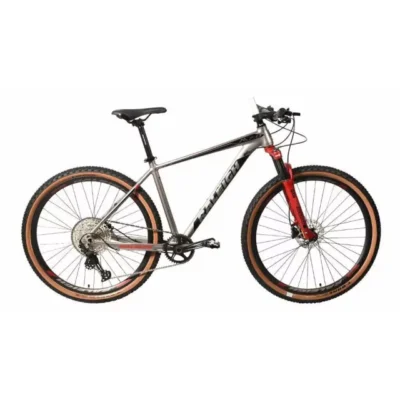 Raleigh 7.0 R29 // Aluminio