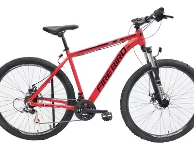 Firebird Mtb - R29 Talle 18" - Aluminio - 21 V Shimano