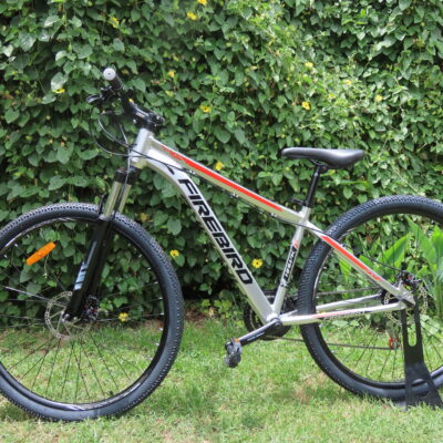 FIREBIRD MTB – R29 TALLE 16″ – ALUMINIO – 21 V SHIMANO