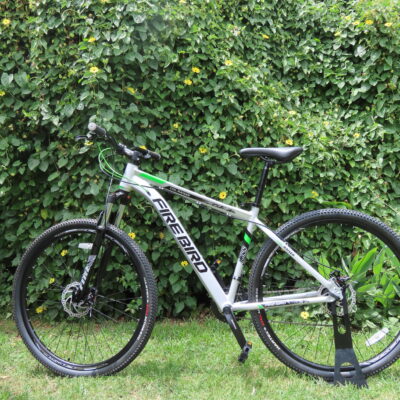 Firebird Mtb - R29 Talle 18" - Aluminio - 21 V Shimano